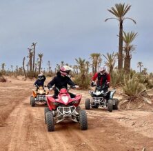 {{brizy_dc_image_alt imageSrc=