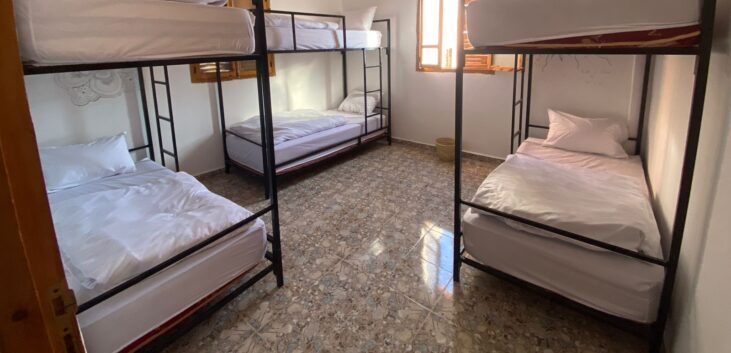 {{brizy_dc_image_alt imageSrc=